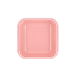 Snack box Tutete city bugs