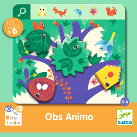 Obs Animo Djeco