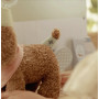 Peluche cane Jackie con cuccia e accessori Little Dutch