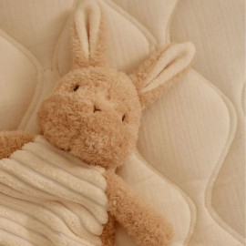 Doudou forest friends Little Dutch