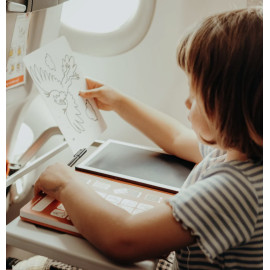 Tavola disegno LCD Animali con 30 schede