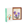 Cofanetto carte i miei primi 12 mesi  La foret mawa" Moulin Roty
