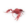 Puzzle 3d gambero di fiume Moulin Roty