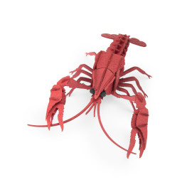 Puzzle 3d gambero di fiume Moulin Roty