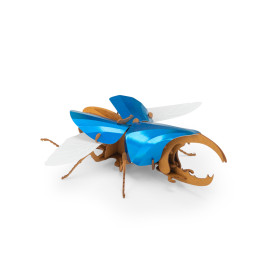 Puzzle 3d scarabeo ercole Moulin Roty