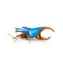 Puzzle 3d scarabeo ercole Moulin Roty