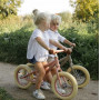 Bicicletta balance biek little dutch rosa matt