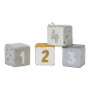 Set di 4 cubi morbidi Little farm Little Dutch